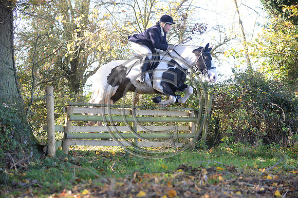 Worcestershire_Hunting_20PN_120868