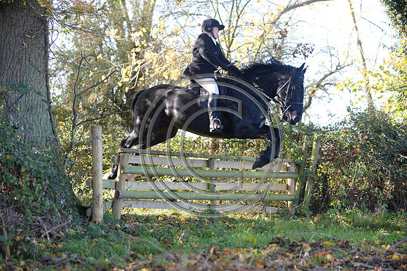 Worcestershire_Hunting_20PN_121291