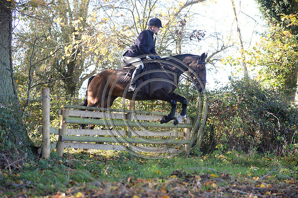 Worcestershire_Hunting_20PN_120871