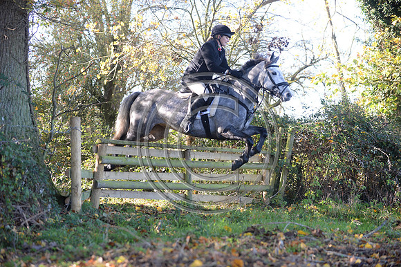 Worcestershire_Hunting_20PN_121311