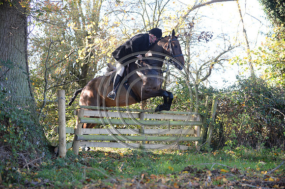 Worcestershire_Hunting_20PN_120875