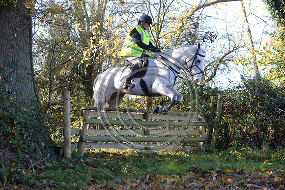 Worcestershire_Hunting_20PN_120878