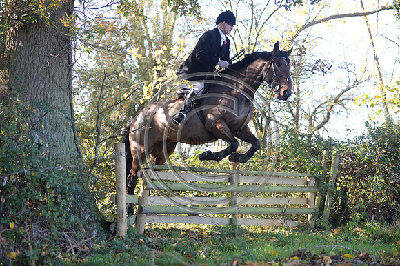 Worcestershire_Hunting_20PN_120879