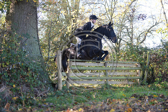 Worcestershire_Hunting_20PN_120880