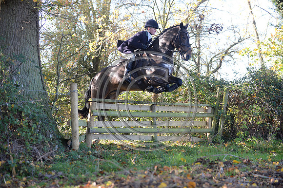 Worcestershire_Hunting_20PN_120881