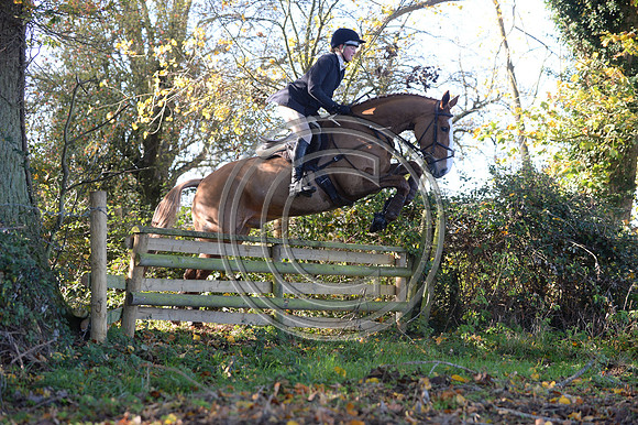 Worcestershire_Hunting_20PN_120884