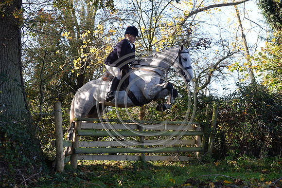 Worcestershire_Hunting_20PN_120885