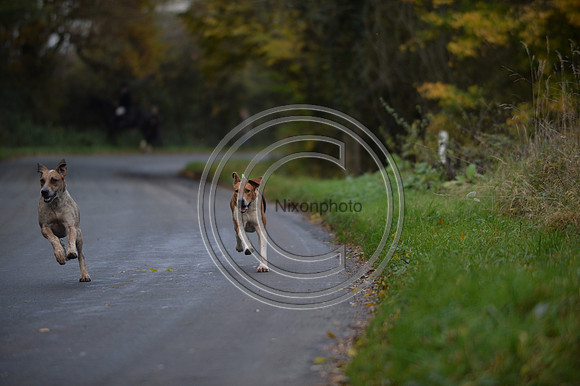 Worcestershire_Hunting_20PN_120950