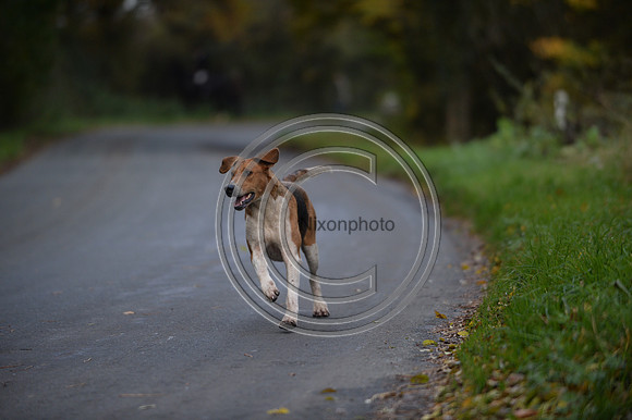 Worcestershire_Hunting_20PN_120951