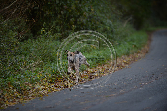 Worcestershire_Hunting_20PN_120953