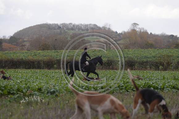 Worcestershire_Hunting_20PN_120939