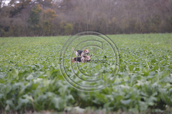 Worcestershire_Hunting_20PN_120956