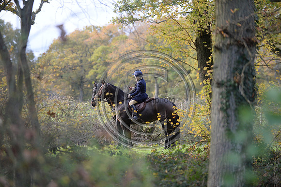 Worcestershire_Hunting_20PN_121315