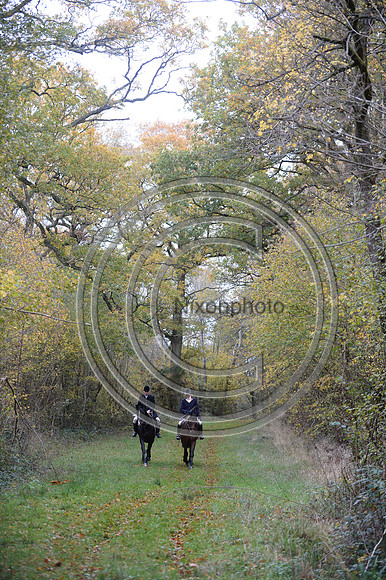 Worcestershire_Hunting_20PN_120933