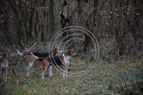 Worcestershire_Hunting_20PN_120958