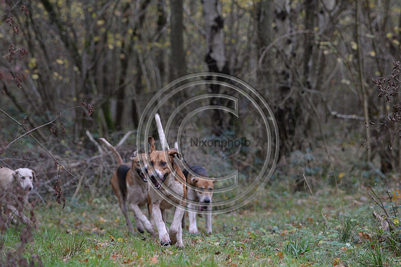 Worcestershire_Hunting_20PN_120959