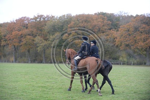 Worcestershire_Hunting_20PN_121161