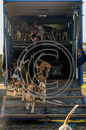 Worcestershire_Hunting_20PN_121365