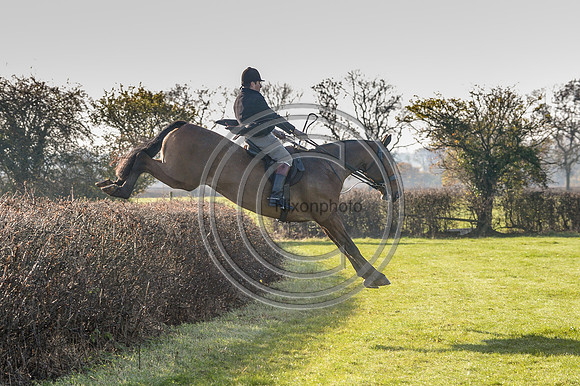 Worcestershire_Hunting_20PN_120904