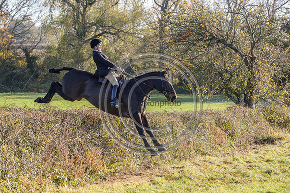 Worcestershire_Hunting_20PN_121182