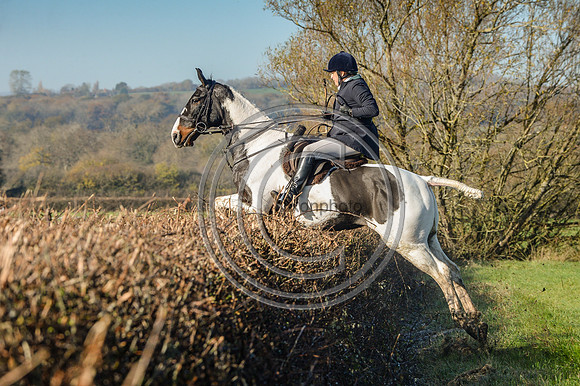 Worcestershire_Hunting_20PN_121263