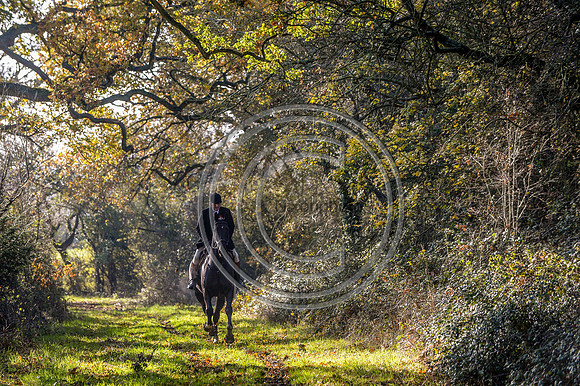 Worcestershire_Hunting_20PN_121353
