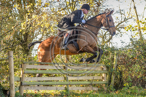 Worcestershire_Hunting_20PN_121177