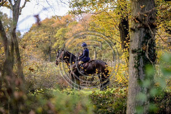 Worcestershire_Hunting_20PN_121315