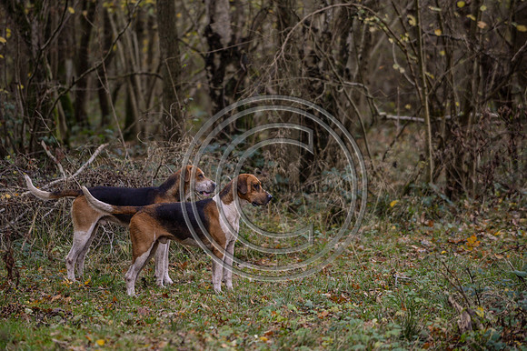 Worcestershire_Hunting_20PN_120958