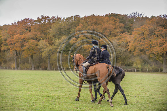 Worcestershire_Hunting_20PN_121161