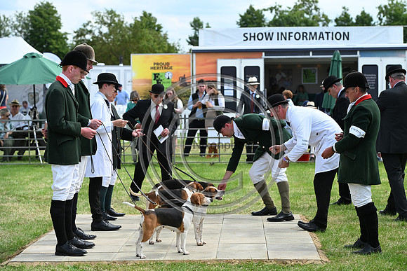 Festival of Hounds 2024