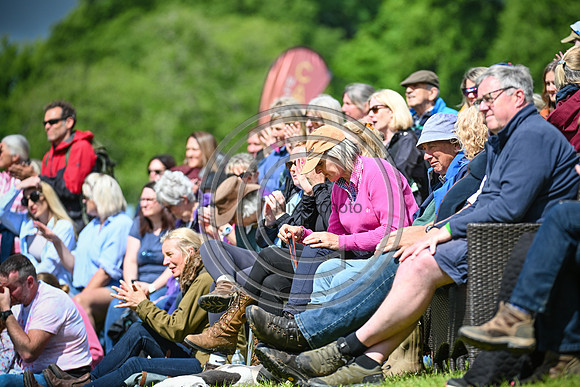 Bicton Arena International (1)