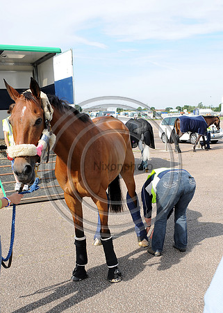 OlympicHorses_08KH289