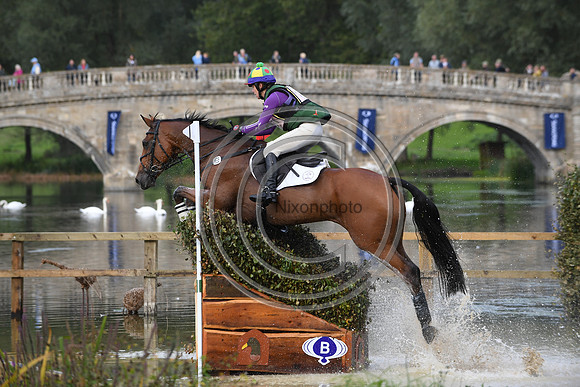 CAMEMBERT_Blenheim_PN17_98127