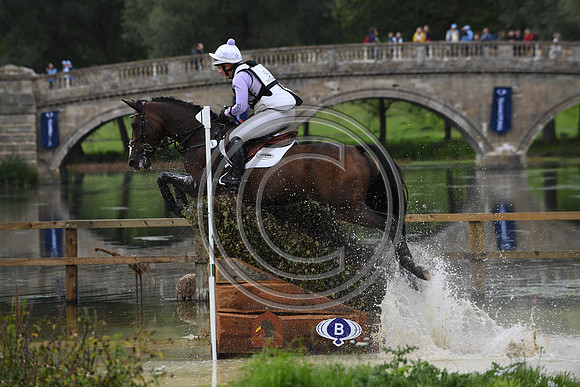 CHICO BELLA P_Blenheim_PN17_98506