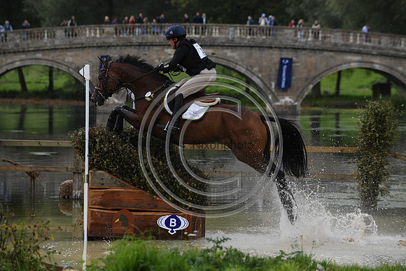 CHIPPIEH_Blenheim_PN17_98492
