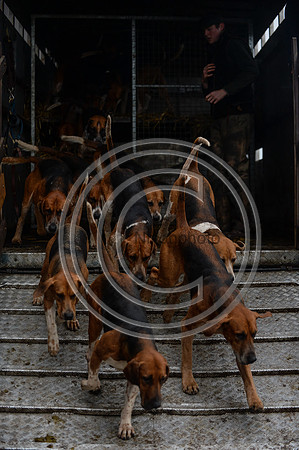Eggesford_Hunting_20PN_122849