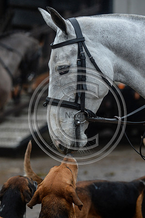 Eggesford_Hunting_20PN_122864