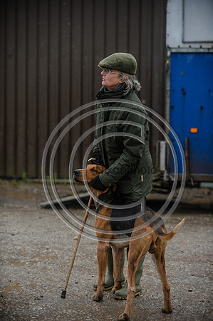 Eggesford_Hunting_20PN_122860