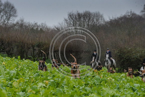 Eggesford_Hunting_20PN_122915