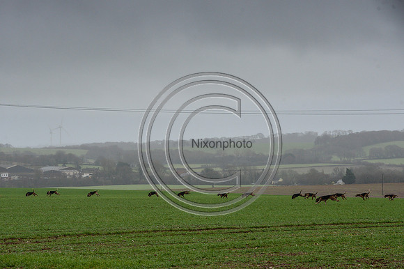Eggesford_Hunting_20PN_122939