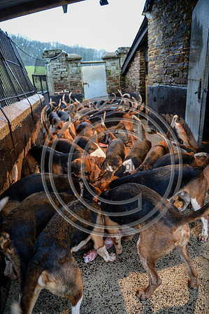 Eggesford_Hunting_20PN_122981