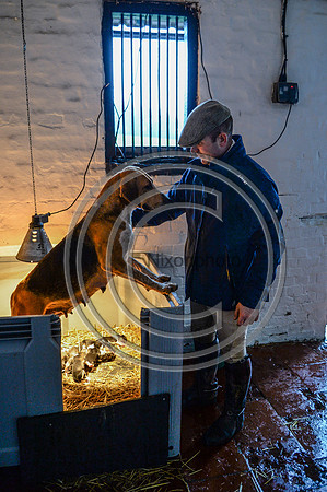 Eggesford_Hunting_20PN_122989