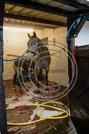 Eggesford_Hunting_20PN_123001