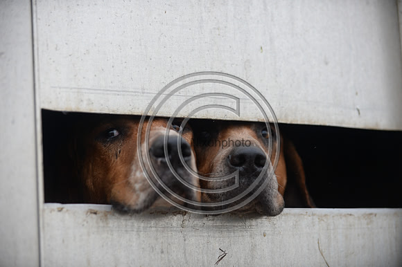 Eggesford_Hunting_20PN_122834