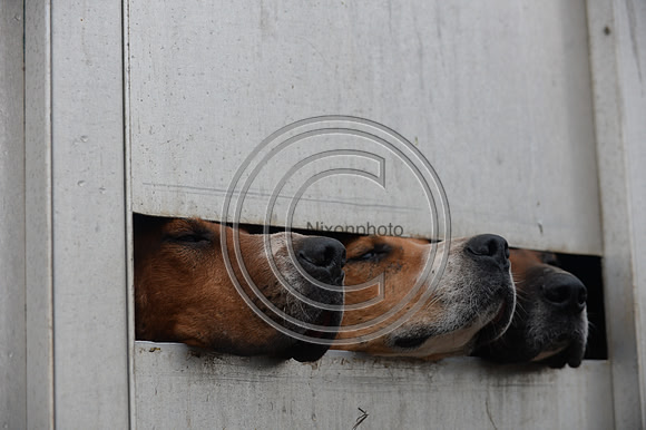 Eggesford_Hunting_20PN_122836