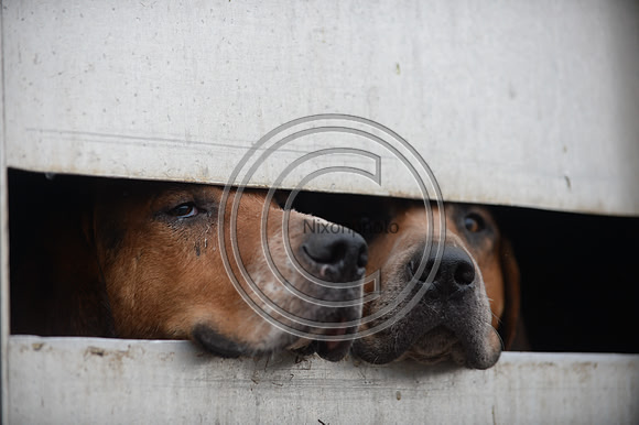 Eggesford_Hunting_20PN_122835