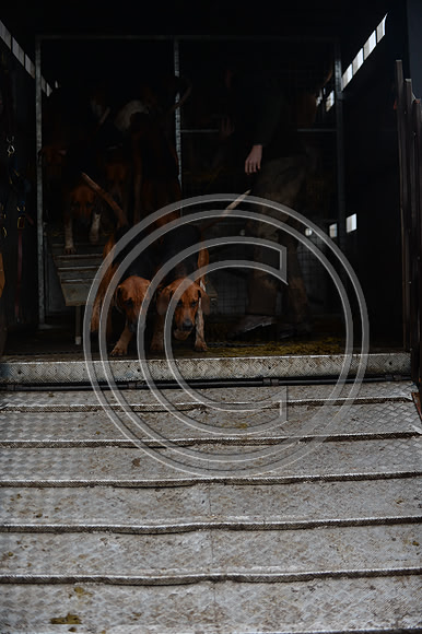 Eggesford_Hunting_20PN_122847