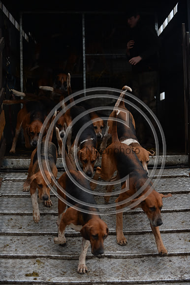 Eggesford_Hunting_20PN_122849