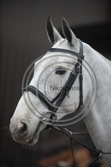 Eggesford_Hunting_20PN_122857